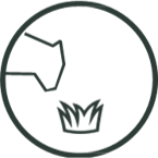 Feed and Economics Icon